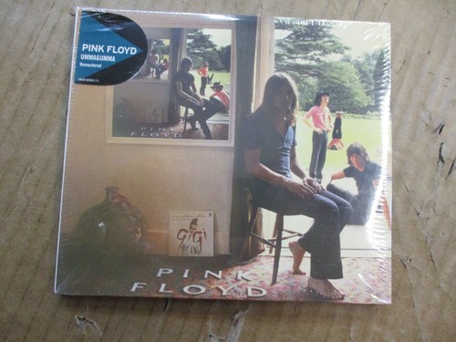 Pink floyd ummagumma 2cd - pink,