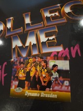 Panini Ran Cards Team Dynamo Dresden Bundesliga Trading Card 