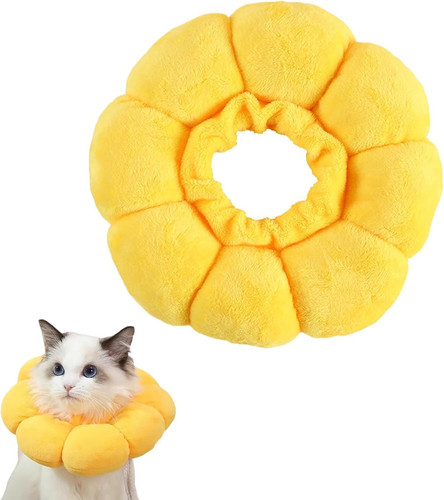 Halskrause katze katzen - katze,,