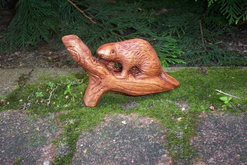 Holz biber auf - biber, dem