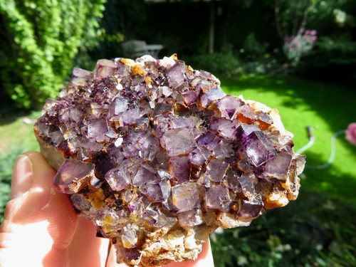 Hell lila fluorite - ⚒,