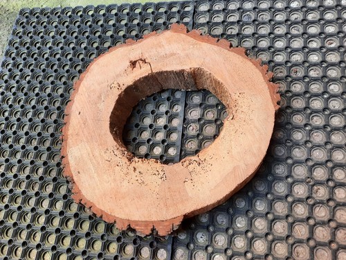 Baumscheibe hohl erle x45 - baumscheibe,