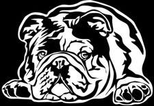 ENGLISCHE BULLDOGGE Aufkleber