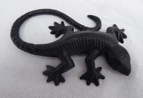 Boltze eidechse gecko - boltze,