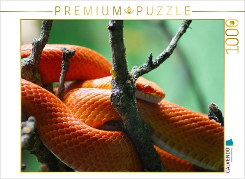 Calvendo puzzle rot orangene - puzzle,