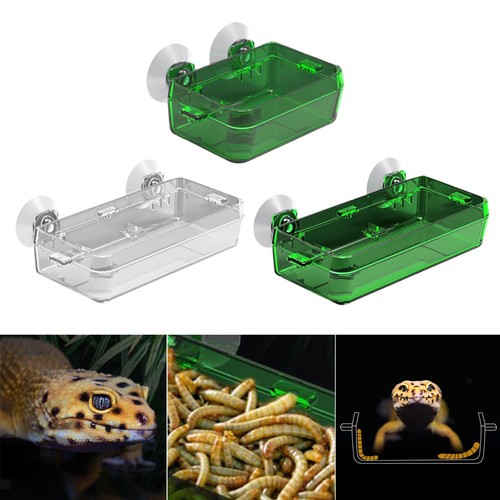 Saugnapf reptil feeder futter - saugnapf,