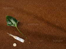 Wolle Walkloden Walk