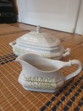 Gallo Leonardo Fougere