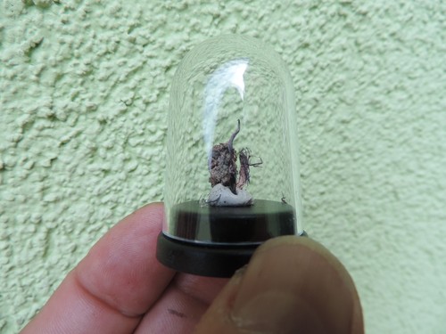 Gediegen silber aus schneeberg - silber,