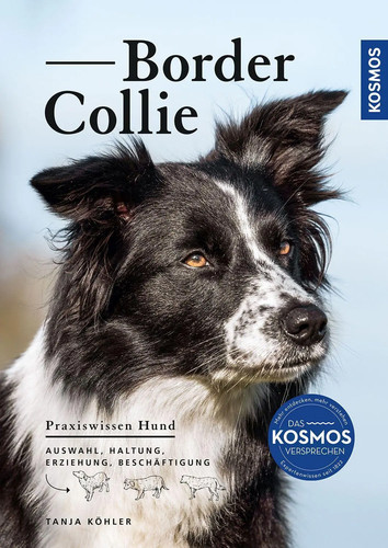 Border collie auswahl - border,