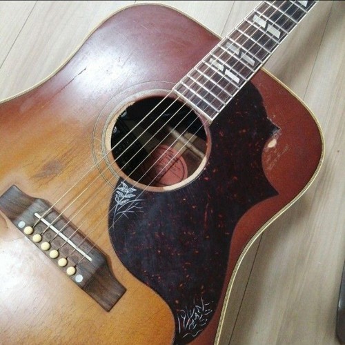 Gibson hummingbird akustische - gibson,