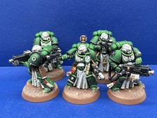 5 Sternguard Veterans der Sons of Medusa / Iron Hands TOP BEMALT