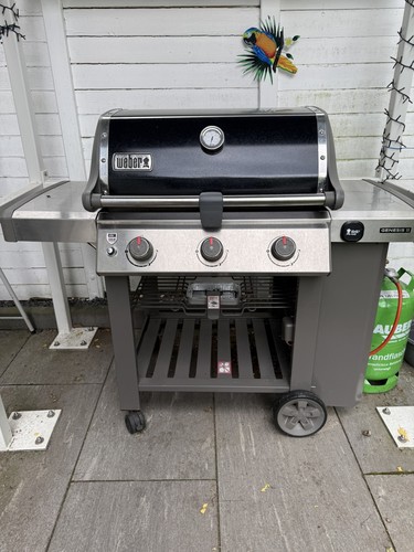 Weber genesis 310 gbs - ii,