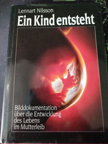 Ein kind entsteht von lennart - ein,