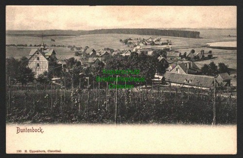 142970 buntenbock harz - buntenbock,