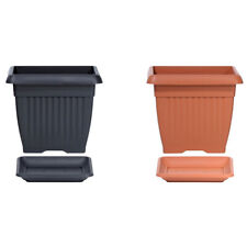 Blumenkübel Blumentopf mit