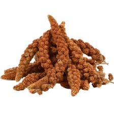 5 kg Kolbenhirse rot