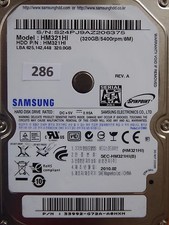 320GB Samsung HM321HI |