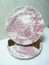 Palissy Thames River Scenes Old Windsor Locks 1 Kuchenteller Teller Rot  D -19,5