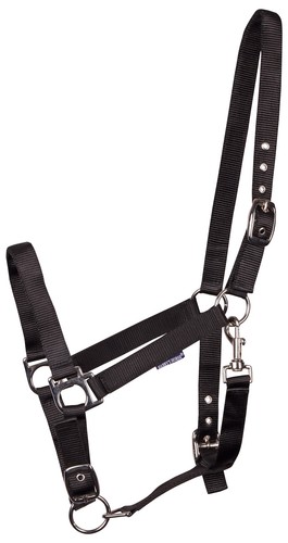 Harrys horse halfter - halfter, basic