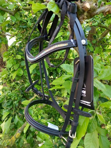 Hkm funny horses mini - funny, shetty