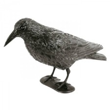 Taubenschreck Rabe Vogelabwehr