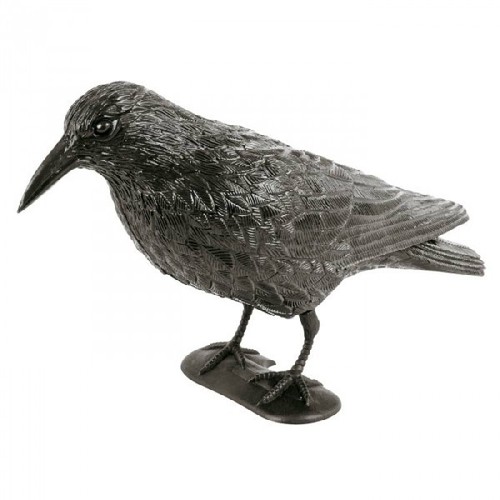 Taubenschreck rabe vogelabwehr - taubenschreck,