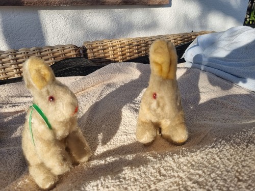 Max carl original hasen - max,