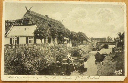 Großen moosbruch labiau - moosbruch,