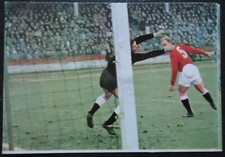 Sicker Sammelbild 365