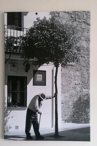 Foto auf leinwand 60x40 - 60x40, cm