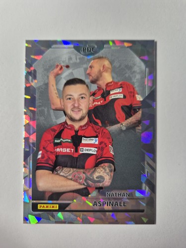 Panini pdc dart nathan - pdc,