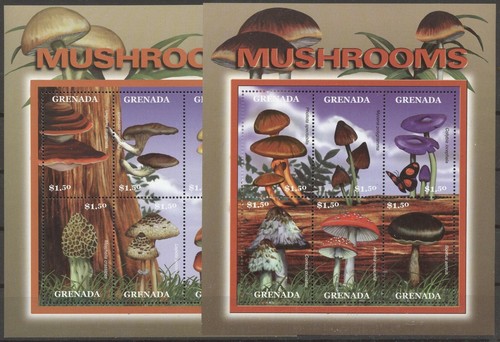 Pilze mushrooms grenada - pilze,, 2