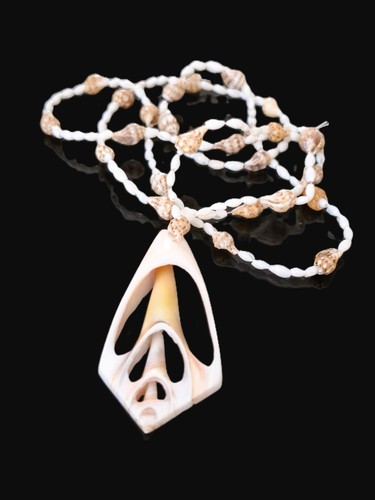 Kette muscheln kegelschnecke - muscheln,