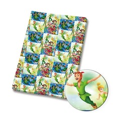 Disney Peter Pan Tinkerbell