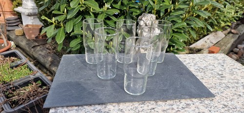 Alte ddr superfest gläser - alte,
