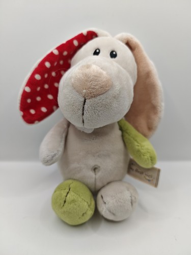 First nici hase tilli - nici,