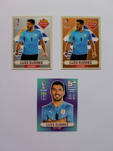 Konvolut panini 2022 - konvolut, wm