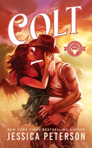 Colt the cowboy romance - cowboy,