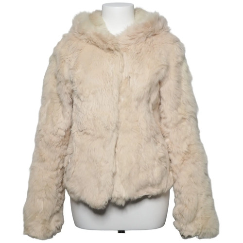 Ckn scandinavia jacke - ckn, scandinavia,