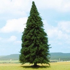 Heki 2341 Tanne, 25 cm hoch G