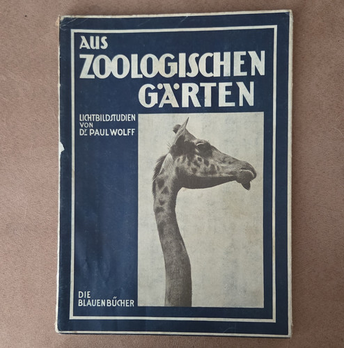 Paul wolff aus - wolff,