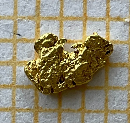 Echtes goldnugget - echtes,