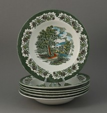 Suppenteller 22,5cm "Country Cottage" Royal Tudor Ware  teller england