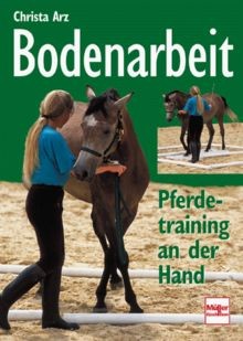 Bodenarbeit pferdetraining an - pferdetraining,