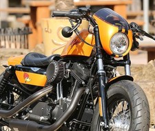 Harley Davidson Sportster 1200