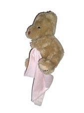Douglas Sunkid Bär Teddy