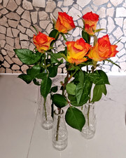 12 mini Glasvasen Set 13cm