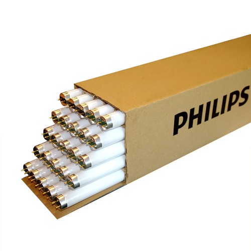 Philips leuchtstofflampe - philips, t8