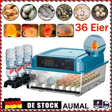 Vollautomatisch Inkubator